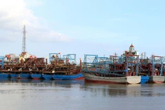 Provincia vietnamita intensifica control de barcos pesqueros