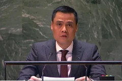 Vietnam dispuesto a sumarse a esfuerzos de buscar solución pacífica al conficto Hamás-Israel
