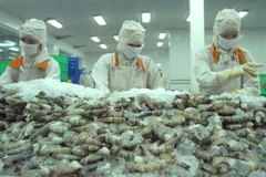 Vietnam, segundo mayor exportador de camarón del mundo 