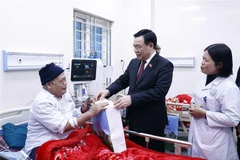 Revisan construcción de nuevas zonas rurales en provincia vietnamita
