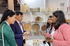Empresas vietnamitas participan en programa de promoción comercial en India
