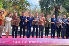 Vietnam participa en reunión de altos funcionarios de la ASEAN