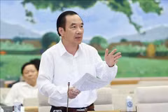 Diplomacia popular acerca las culturas vietnamita y malasia