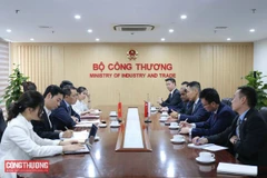 Vietnam y Singapur promueven cooperación energética