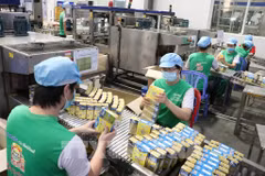 Casi seis mil nuevas empresas se crearon en Binh Duong en 10 meses