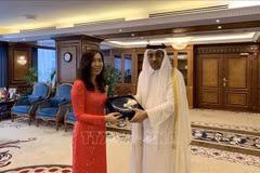 Vietnam y Qatar promueven cooperación en campos potenciales