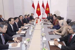 Vietnam e Indonesia acuerdan profundizar más nexos binacionales