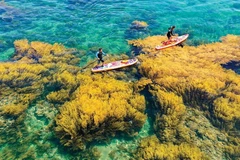 Turismo de mar e islas, una "mina de oro" para la economía verde vietnamita