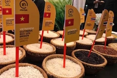 Exportaciones arroceras de Vietnam alcanzarán siete millones de toneladas en 2023