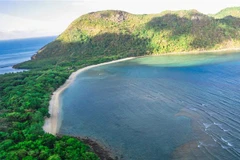 Promueven conservación de tortugas marinas en Vietnam
