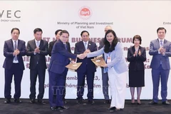 Vietnam por movilizar recursos internacionales para transformación verde