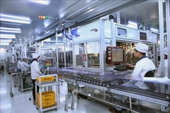 Experto se muestra optimista sobre cooperación económica Corea del Sur - Vietnam