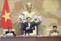 Proyecto de Ley de Tierras de Vietnam recibe valiosas opiniones públicas
