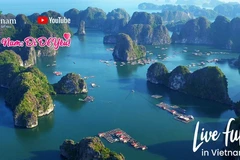 Turismo de Vietnam se acelera gracias a la digitalización