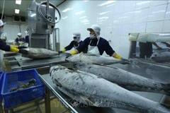 Exportaciones de productos acuáticos vietnamitas se reducen un 21%