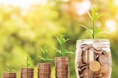 Crédito verde: tendencia de inversión para desarrollo económico sostenible 