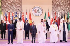 Vietnam propone soluciones para fortalecer relaciones ASEAN - CCG