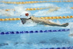 Nadadores vietnamitas competirán en campeonato mundial en Japón