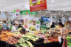 IPC de Vietnam aumenta 0,45% en julio