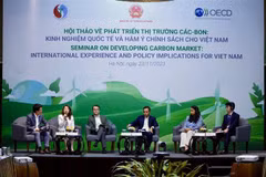 Vietnam promueve cooperación internacional en desarrollo de mercado de carbono