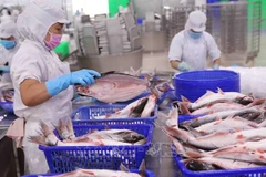 Disminuyen exportaciones de productos acuáticos de Vietnam