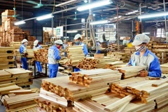 Celebrarán Feria Internacional de la Industria de la Madera de Vietnam