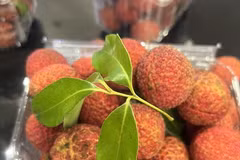 Lichi vietnamita sin semillas se vende en el Reino Unido