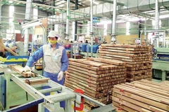 Industria maderera vietnamita empeñada en cumplir pedidos para finales del año