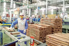 Industria maderera vietnamita empeñada en cumplir pedidos para finales del año