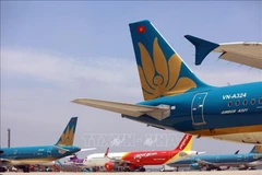 Aerolíneas vietnamitas garantizan seguridad del transporte durante el Tet