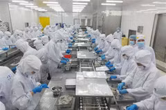 Japón, mayor receptor de productos acuícolas de Vietnam