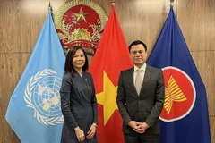 Muchos países consideran a Vietnam un ejemplo en implementación de ODS