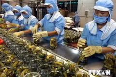 Gran potencial para la penetración de productos vietnamitas en África y Medio Oriente