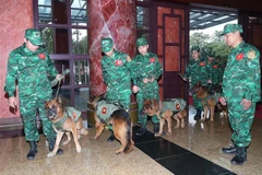 Vietnam envía oficiales para apoyar recuperación de Turquía tras terremotos