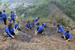 Mejoran conciencia de jóvenes vietnamitas sobre protección ambiental