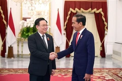 Vietnam atesora asociación estratégica con Indonesia, afirma presidente parlamentario