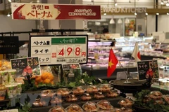 Experimenta leve aumento trasiego mercantil entre Vietnam y Asia