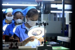 Periódicos alemanes elogian potencial de desarrollo de Vietnam