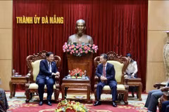 Dirigente de Da Nang reitera apoyo a empresas malasias