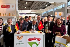 Empresas vietnamitas buscan oportunidades en Fruit Logistica 2023