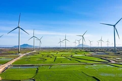 Vietnam por ampliar escala de la economía verde a 300 mil millones de dólares para 2050