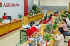 Vietnam se empeña en promover crédito verde