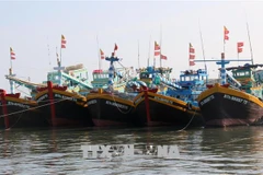 Provincia de Binh Thuan se esfuerza por levantar tarjeta amarilla impuesta por CE 