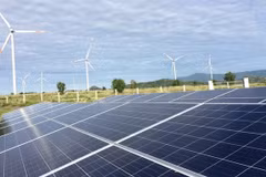 Japón, Estados Unidos y Australia apoyan a Vietnam en reducir emisiones de carbono