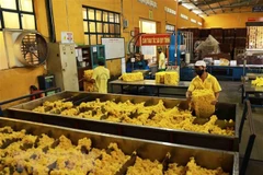 Vietnam, cuarto mayor proveedor de caucho de Corea del Sur