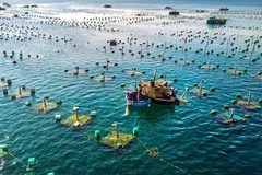 Vietnam y Noruega impulsan la cooperación en la maricultura