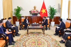 Vietnam y Egipto aspiran a elevar el comercio bidireccional a mil millones de dólares