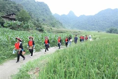 Promueven inversiones en bienes raíces agroturísticos en Vietnam
