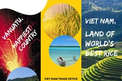 Vietnam exporta arroz ST25 a Vanuatu