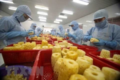 Comercio Vietnam - Laos reporta redución del 27,3 por ciento